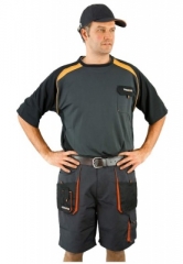 Terratrend Job Work Shorts in grey - short waistband tr Terratrend Job Work Shorts in grey - short waistband tr